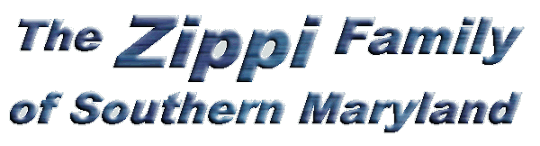zippi