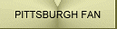 Pittsburgh Fan