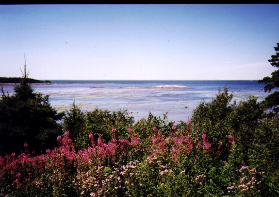 La Gasp&eacute;sie