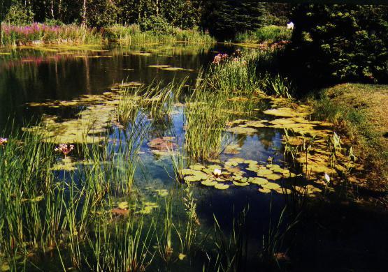 Lac aux M&eacute;tisses