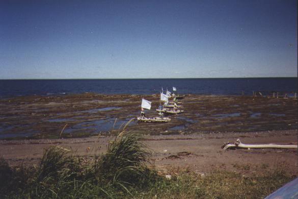 Fleuve St-Laurent