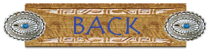 back button