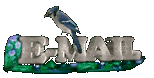 Blue Jay E-Mail Graphic
