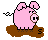 oinkoink.gif (621 bytes)