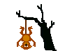 monkey.gif (5837 bytes)