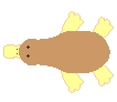 platipus.gif (1341 bytes)