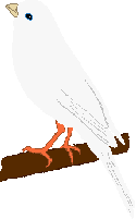 sweety.gif (1548 bytes)