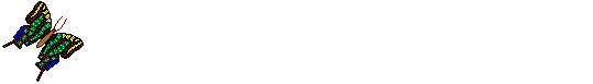 buttrfly.gif (6030 bytes)