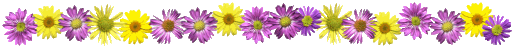 spring.gif (14651 bytes)
