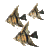 angelfs5.gif (3996 bytes)