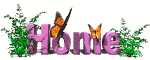 home11.gif (9246 bytes)