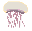 jellyfi.gif (1304 bytes)