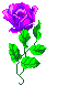 purrose.gif (1528 bytes)
