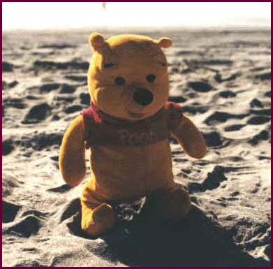 Im at the beach!