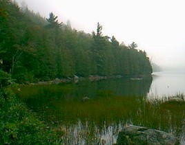 Acadia