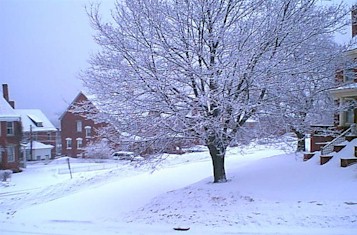 Strathglass Park March 2, 2000