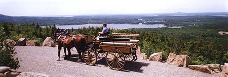 Carriage in Acadia National Park