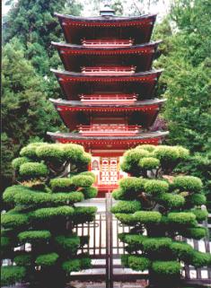 Japanese Garden in Golden Gate Park