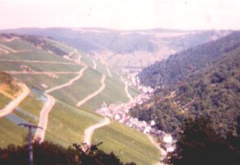 St. Goar, Germany 1981 Vinyards Rhein River in valley
