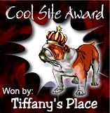 Cool Site Award