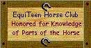 Awarded Feb. 26, 1999