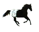 appy.gif