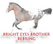 I'm a member of the Bright Eyes Brother BEBring!