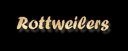 Rottweilers