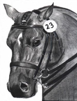 Dressage Dreams