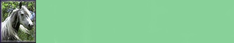 Gray Mare Background #3