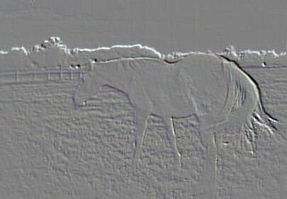Pasture Background
