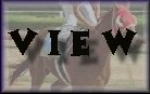 View Guestbook Button Image