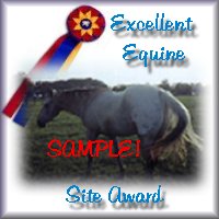 Equine Site Award 1