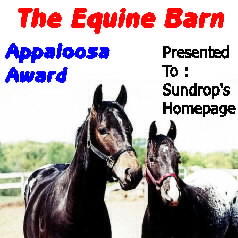 The Equine Barn's Appaloosa Award