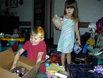 whats in the box