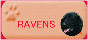 RAVENS
