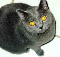 Mo looking oh so innocent