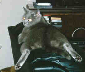 Mo .. not so innocent this time!