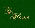 Back to my home page