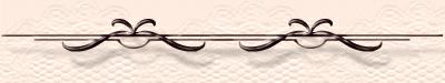 ringsbar.jpg (38120 bytes)