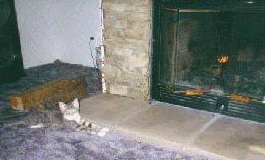 Wigger in front of a winter fire...