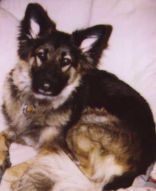 Sabrina on the couch