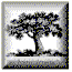 View My Ancestor Page