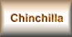 Granny-Wicked & Ralph's Chinchilla Area