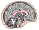 Brain