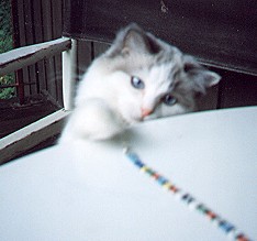 Em playing 