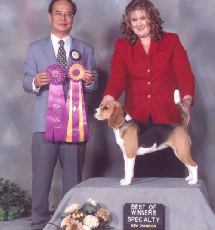 'Best of Winners'