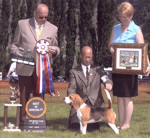 'Best of Breed'