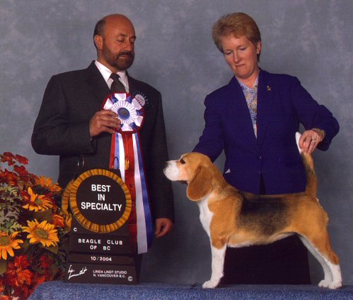'Best of Breed'