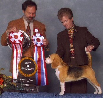 'Best of Breed'